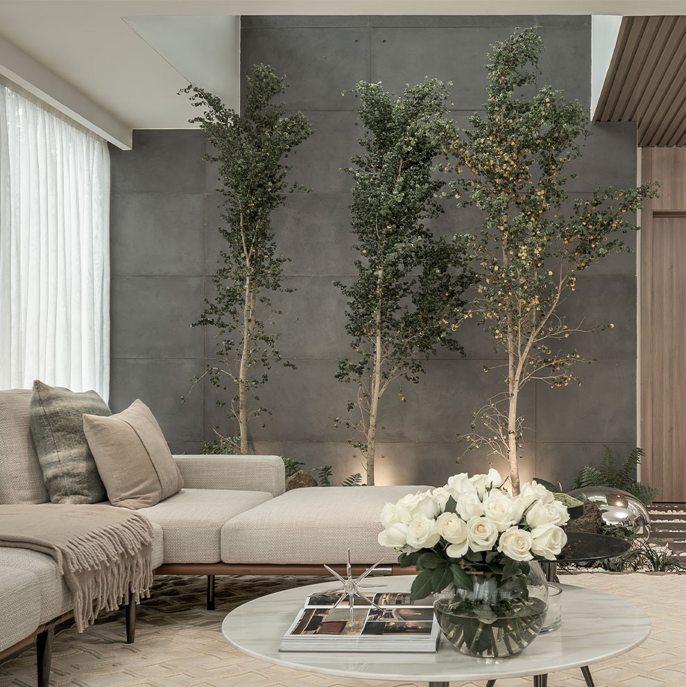 Reflections — Create — Interior